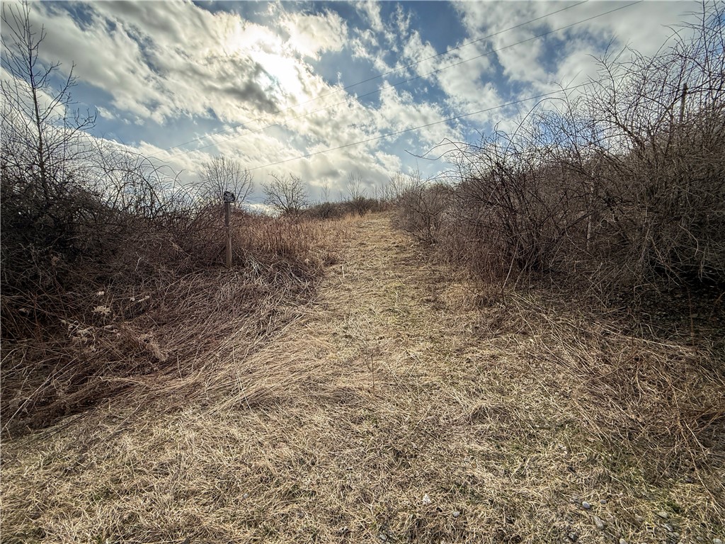 Briggs Hill Road Van Etten, NY 14889 - Photo 8 of 50