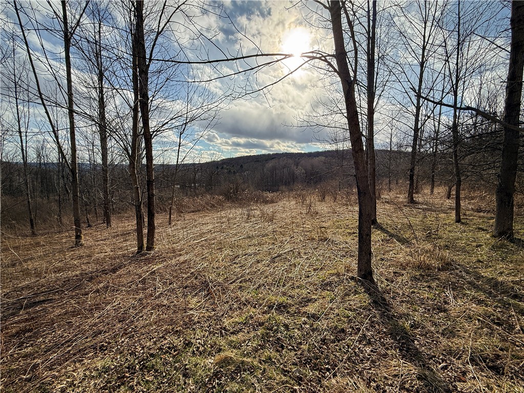 Briggs Hill Road Van Etten, NY 14889 - Photo 9 of 50