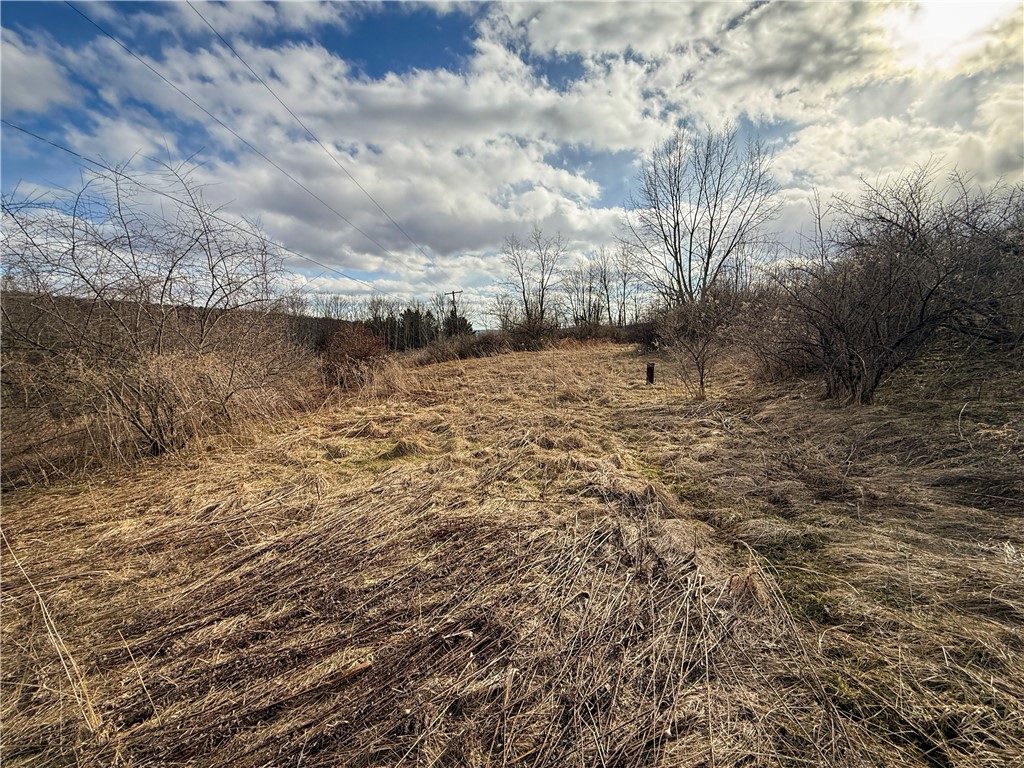 Briggs Hill Road Van Etten, NY 14889 - Photo 10 of 50