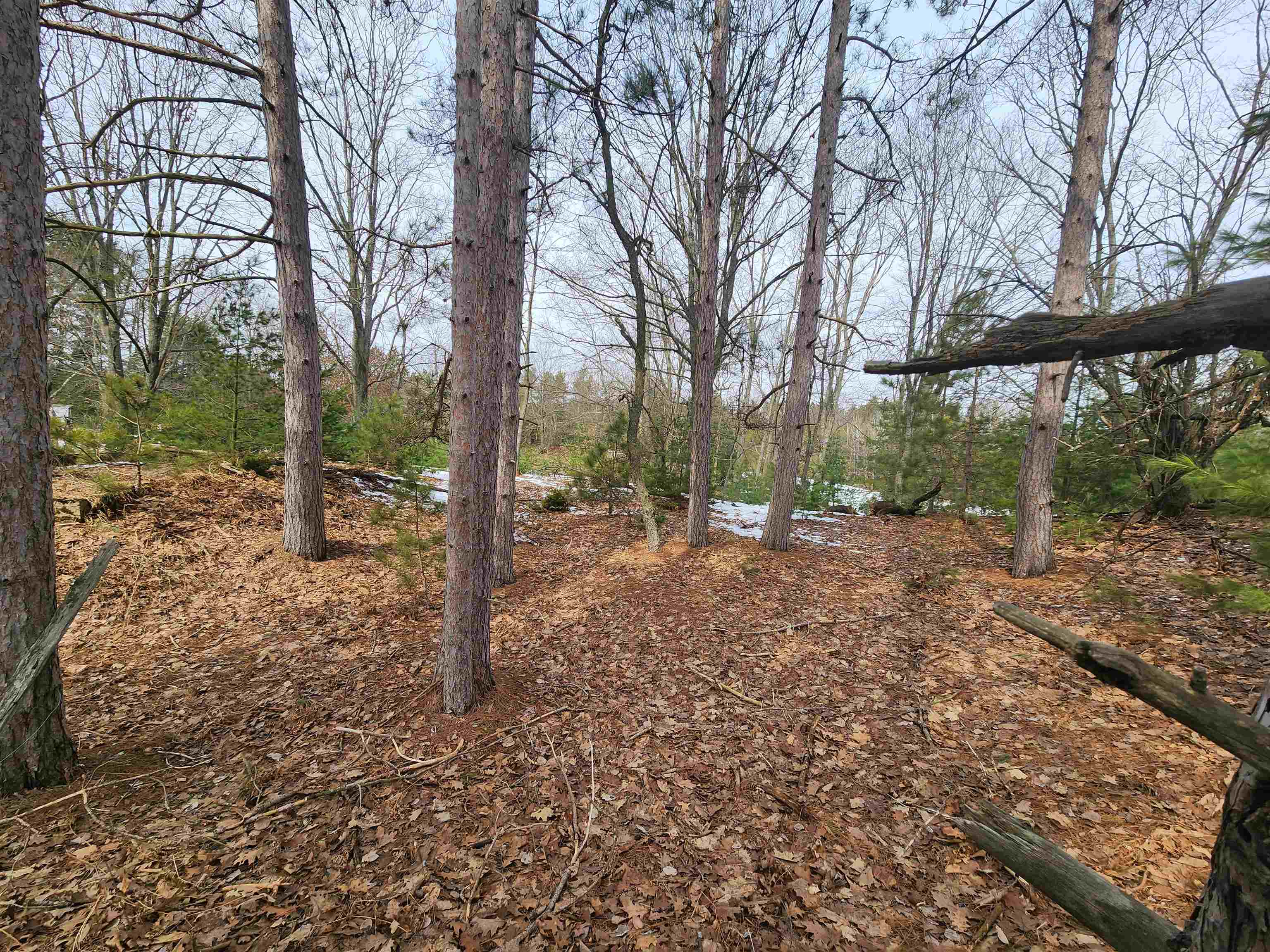 0 Lindroos Road Kaleva, MI 49645 - Photo 3 of 5