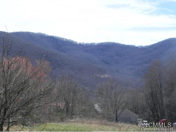 Tbd Patton Cemetery Road Swannanoa, NC 28778 - Photo 1 of 23 Gallery Image 1