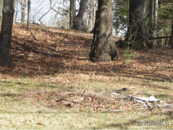 Tbd Patton Cemetery Road Swannanoa, NC 28778 - Photo 12 of 23 Gallery Image 12