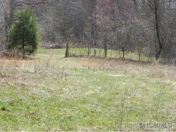 Tbd Patton Cemetery Road Swannanoa, NC 28778 - Photo 3 of 23 Gallery Image 3