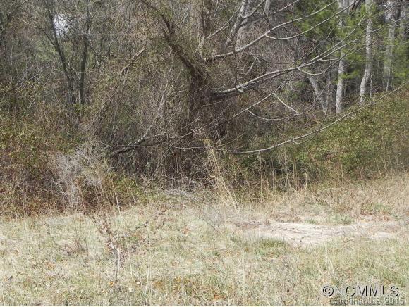 Tbd Patton Cemetery Road Swannanoa, NC 28778 - Photo 21 of 23 Gallery Image 21