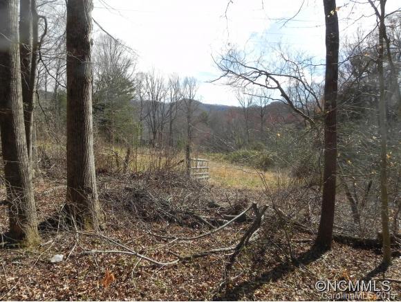 Tbd Patton Cemetery Road Swannanoa, NC 28778 - Photo 6 of 23 Gallery Image 6