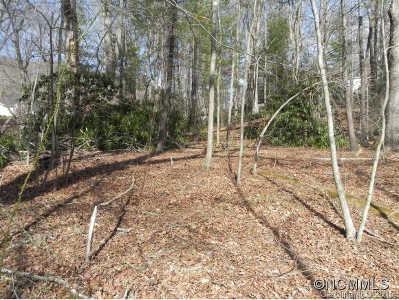 Tbd Patton Cemetery Road Swannanoa, NC 28778 - Photo 7 of 23 Gallery Image 7