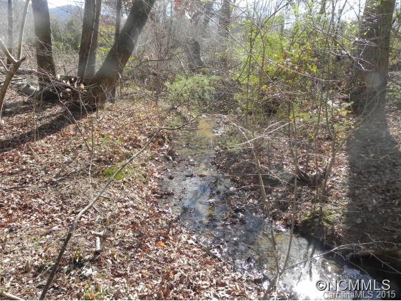 Tbd Patton Cemetery Road Swannanoa, NC 28778 - Photo 8 of 23 Gallery Image 8