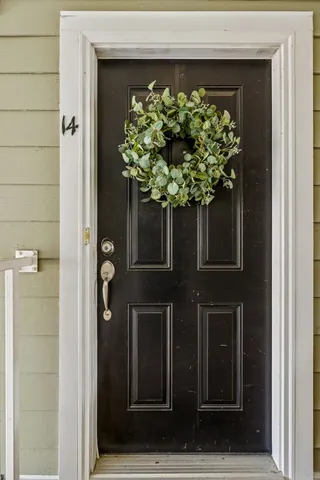 a potted plant sitting in front of a door
