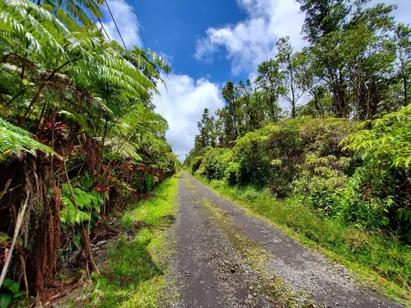 $25,000 | 38 Kopaa Street, Mountain View, HI 96771