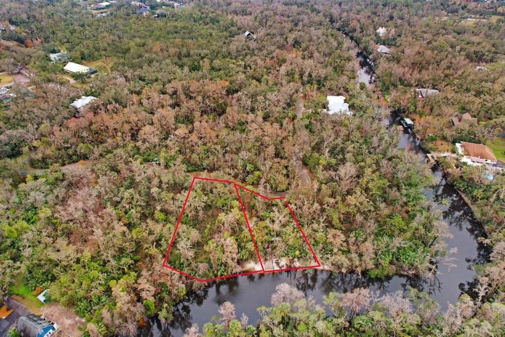 4872 Rambling River Road Brandon, FL 33511 - Photo 12 of 29 a view of a plants