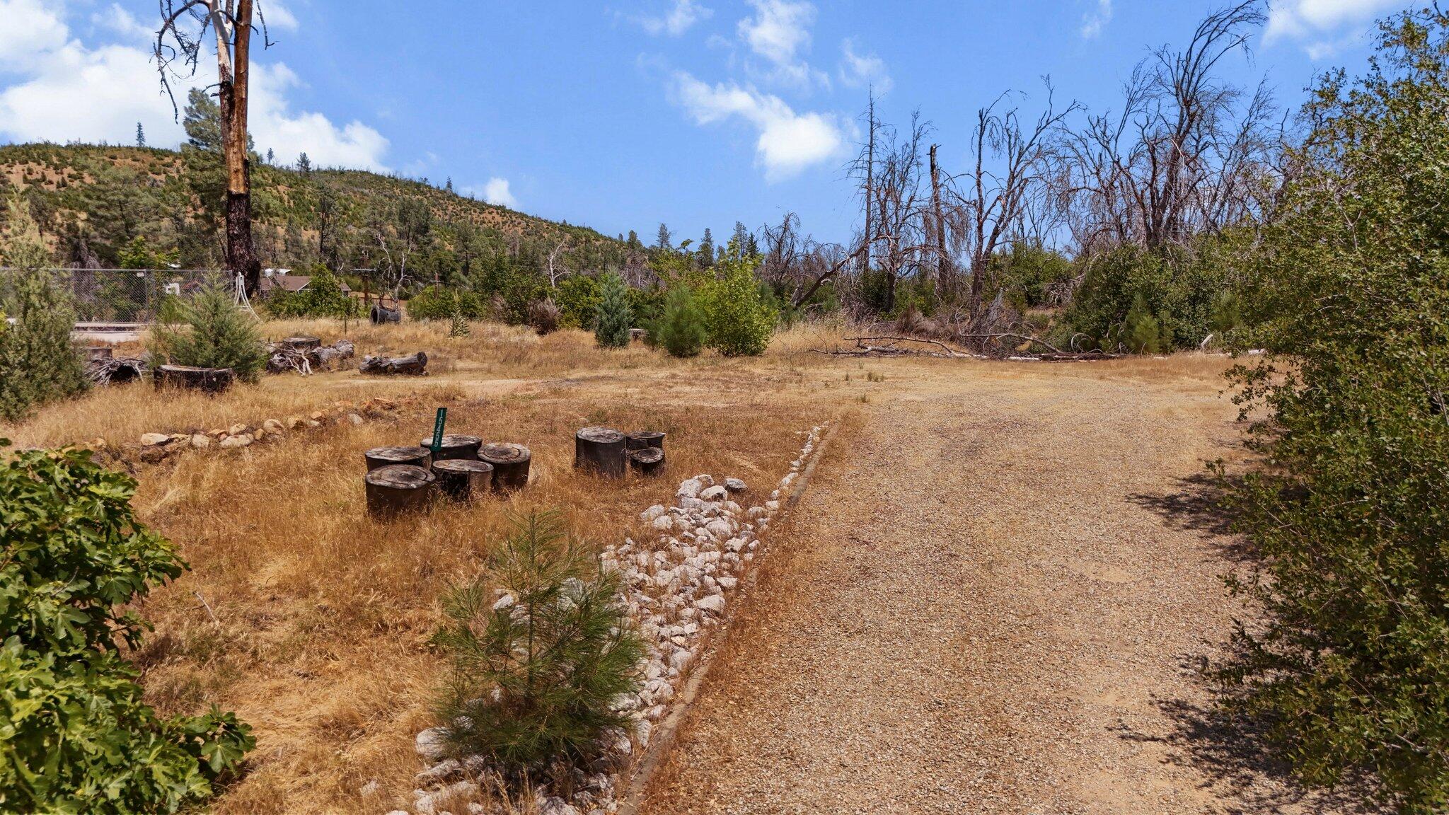 15455 Middle Creek Road Shasta, CA 96087 - Photo 4 of 7 13-web-or-mls-DJI_20250703133321_0094_D
