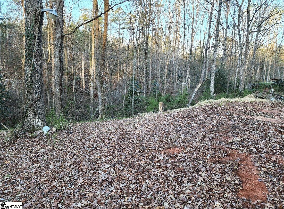 127 Casey Drive Pickens, SC 29671 - Photo 3 of 8