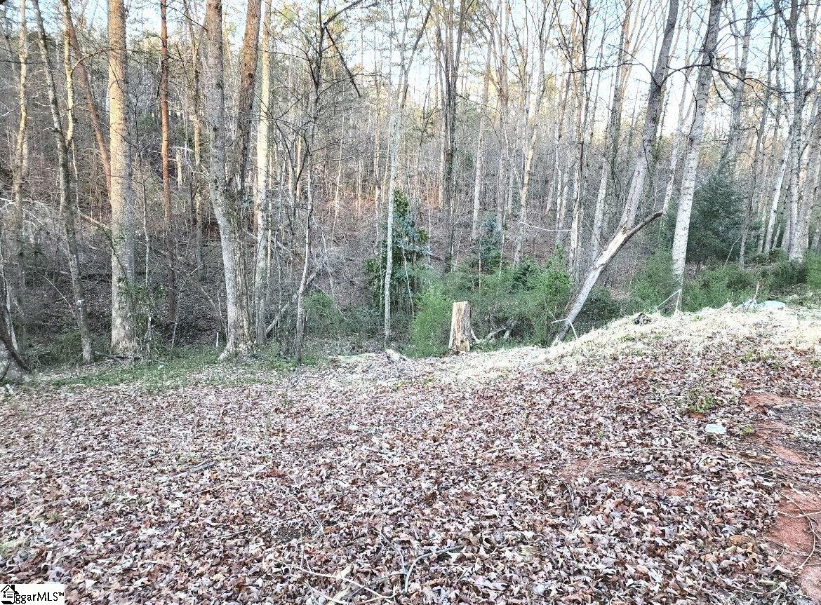 127 Casey Drive Pickens, SC 29671 - Photo 4 of 8