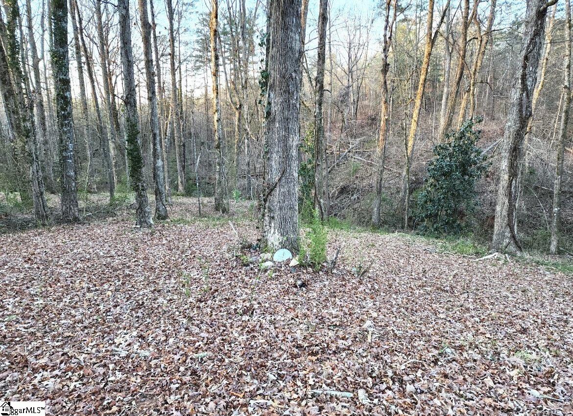 127 Casey Drive Pickens, SC 29671 - Photo 5 of 8