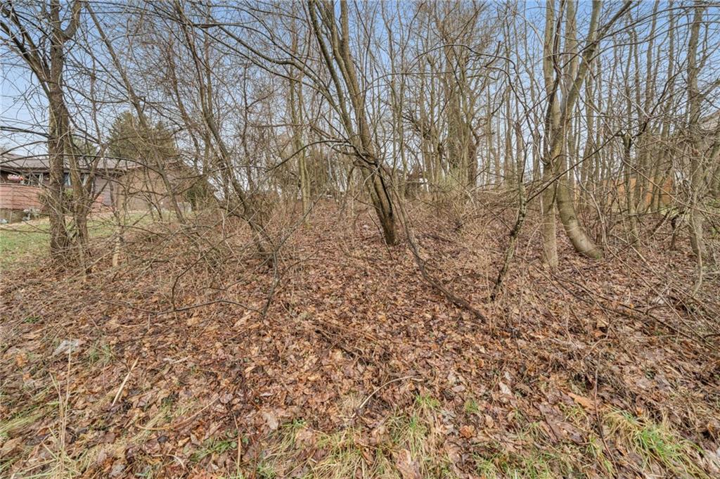 1810 Naser Road North Versailles, PA 15137 - Photo 11 of 14 a view of a yard with a tree