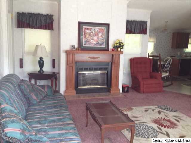 5136 Red Valley Road Remlap, AL 35133 - Photo 5 of 12