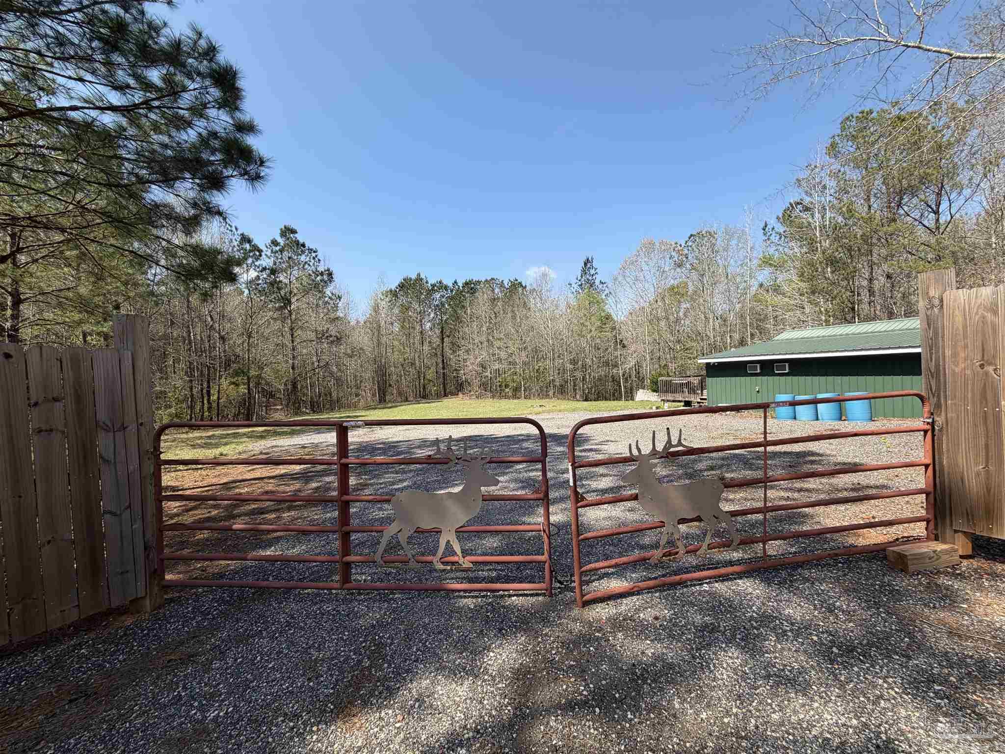 0 Mixonville Road McKenzie, AL 36456 - Photo 1 of 36