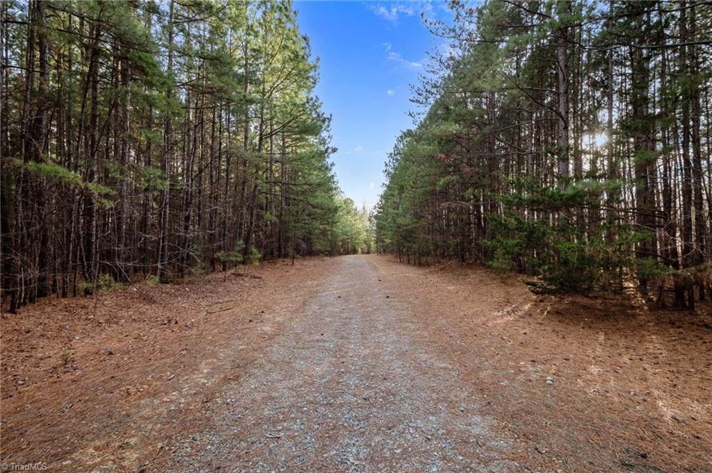 10.75-acres Neal's Store Road Roxboro, NC 27574 - Photo 11 of 18 ACCESS DRIVEWAY