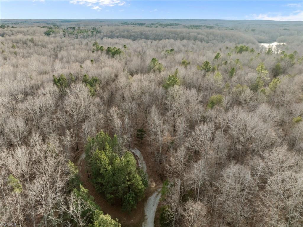10.75-acres Neal's Store Road Roxboro, NC 27574 - Photo 12 of 18