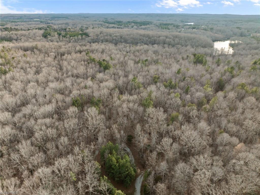 10.75-acres Neal's Store Road Roxboro, NC 27574 - Photo 14 of 18