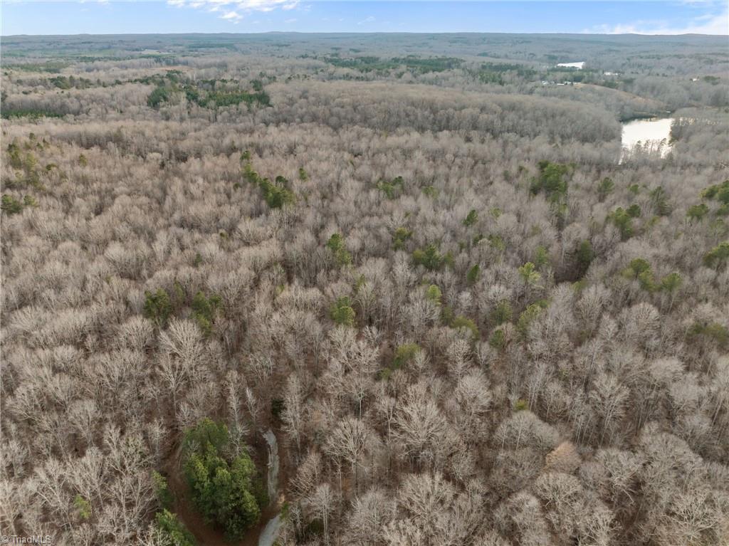 10.75-acres Neal's Store Road Roxboro, NC 27574 - Photo 15 of 18