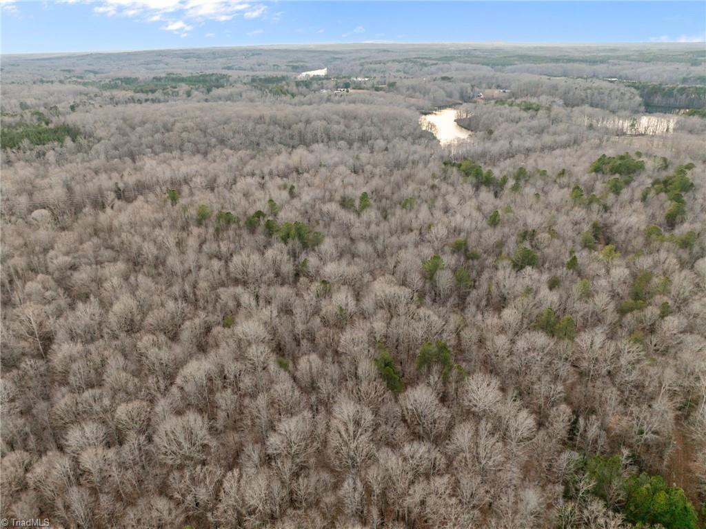 10.75-acres Neal's Store Road Roxboro, NC 27574 - Photo 17 of 18