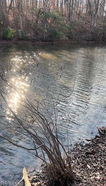 10.75-acres Neal's Store Road Roxboro, NC 27574 - Photo 2 of 18 LAKE ACCESS