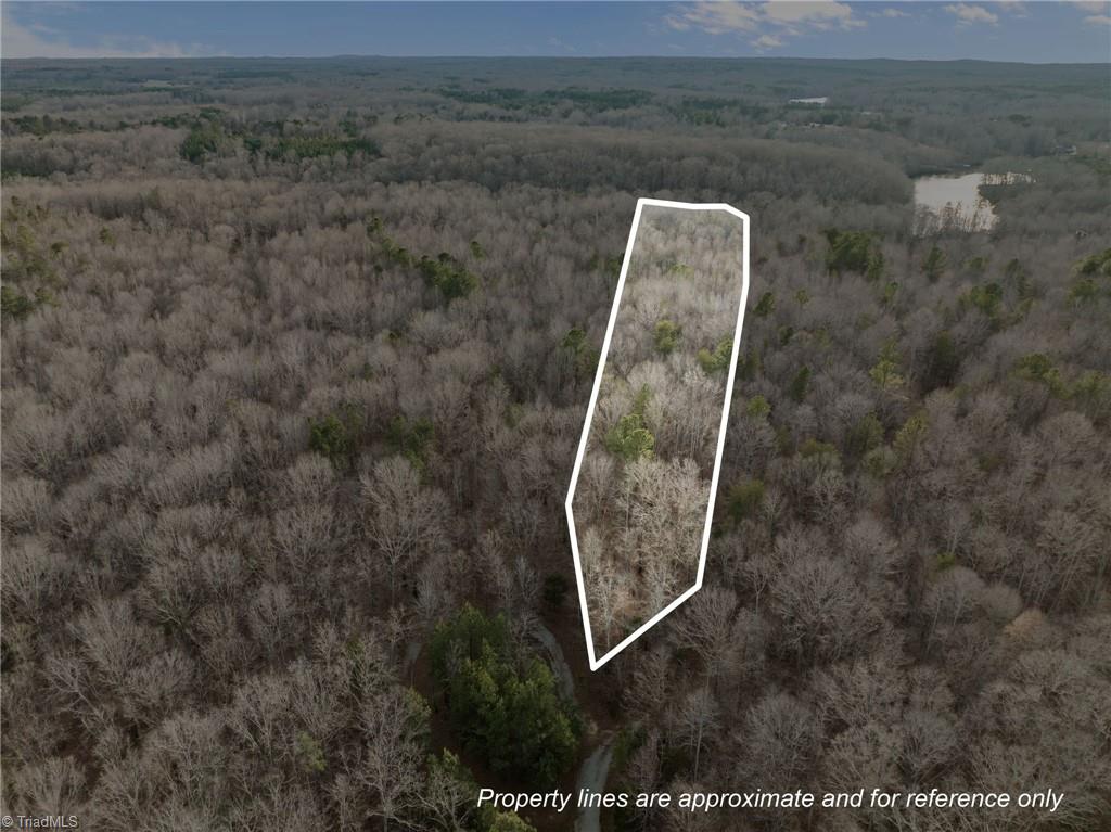 10.75-acres Neal's Store Road Roxboro, NC 27574 - Photo 4 of 18