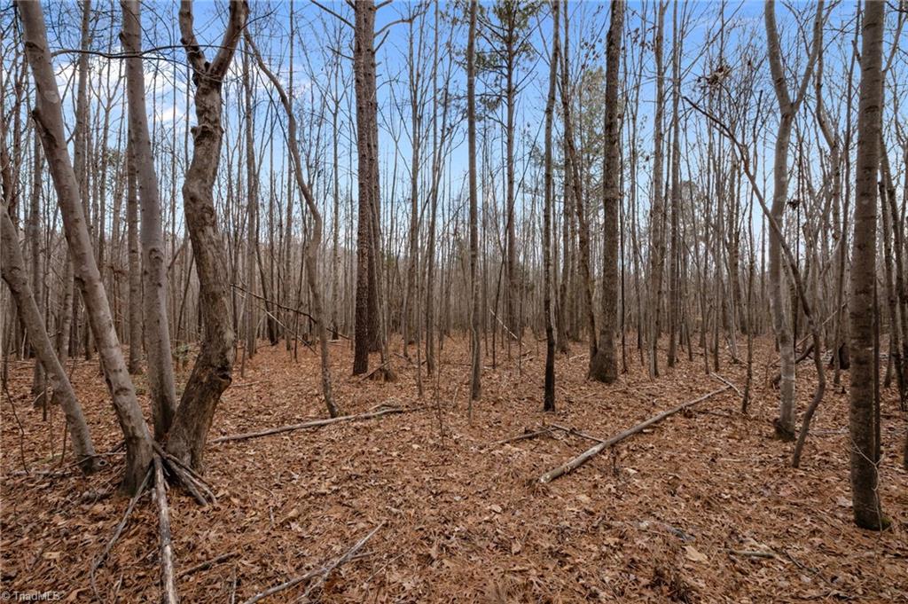 10.75-acres Neal's Store Road Roxboro, NC 27574 - Photo 10 of 18