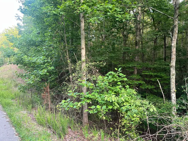 $74,500 | 0 Wohalie 45&45a Lane, South Pittsburg, TN 37380