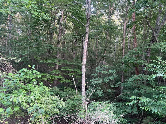 $74,500 | 0 Wohalie 45&45a Lane, South Pittsburg, TN 37380