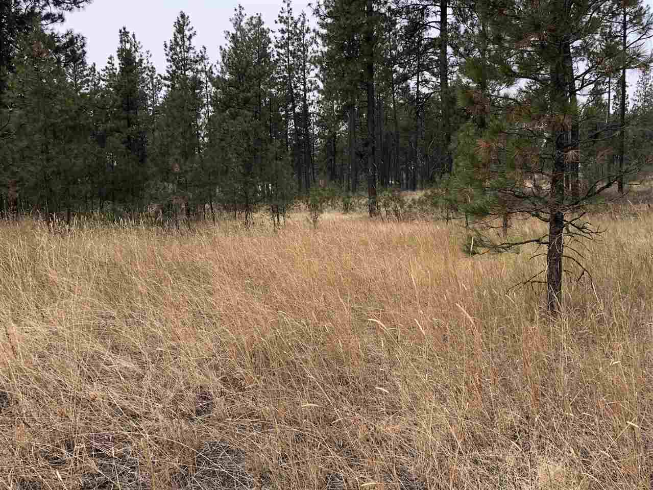 3110 West Depot Springs Road Cheney, WA 99004 - Photo 18 of 20