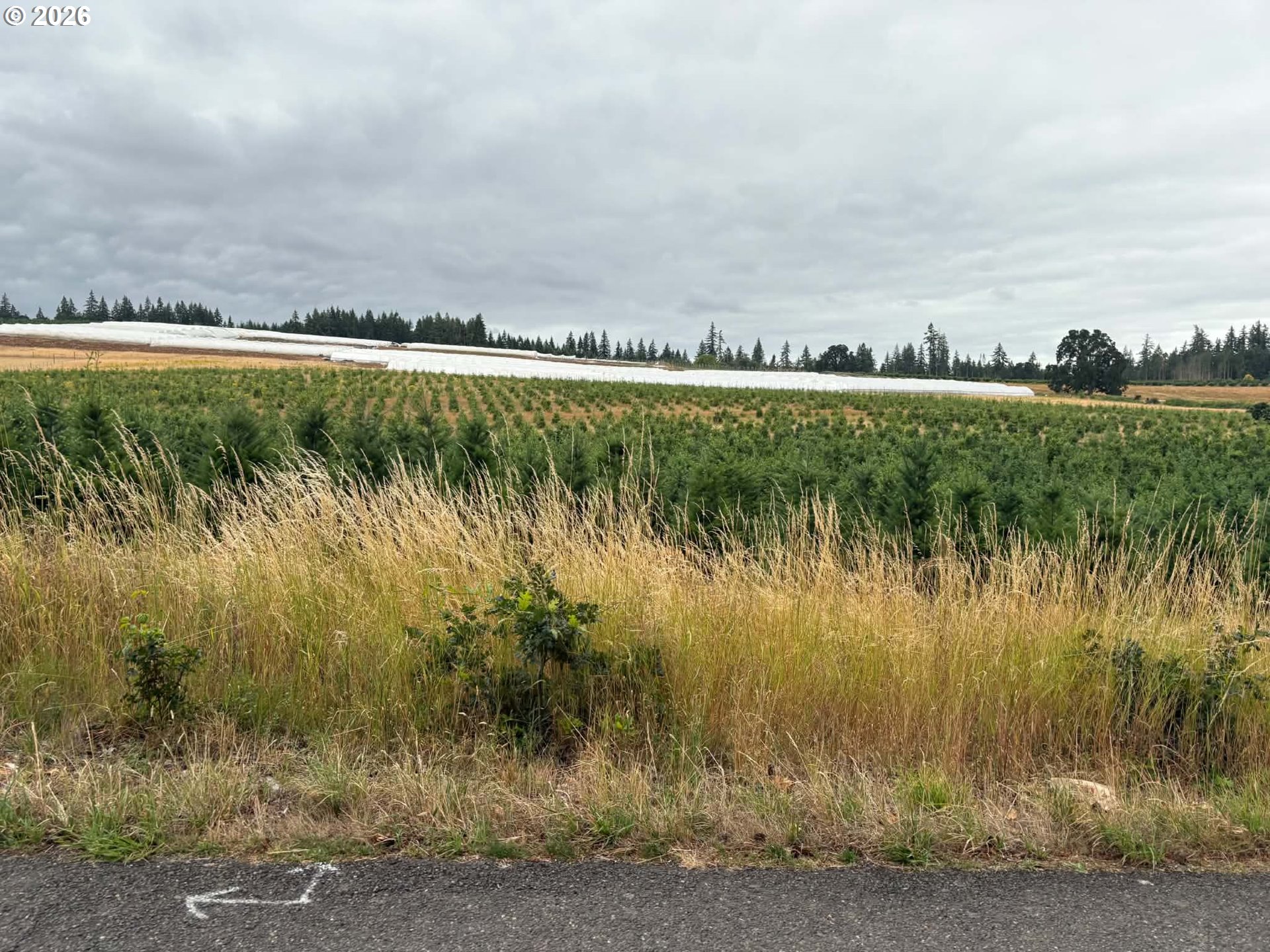 12716 South Dart Road Molalla, OR 97038 - Photo 3 of 9 Gallery Image 3
