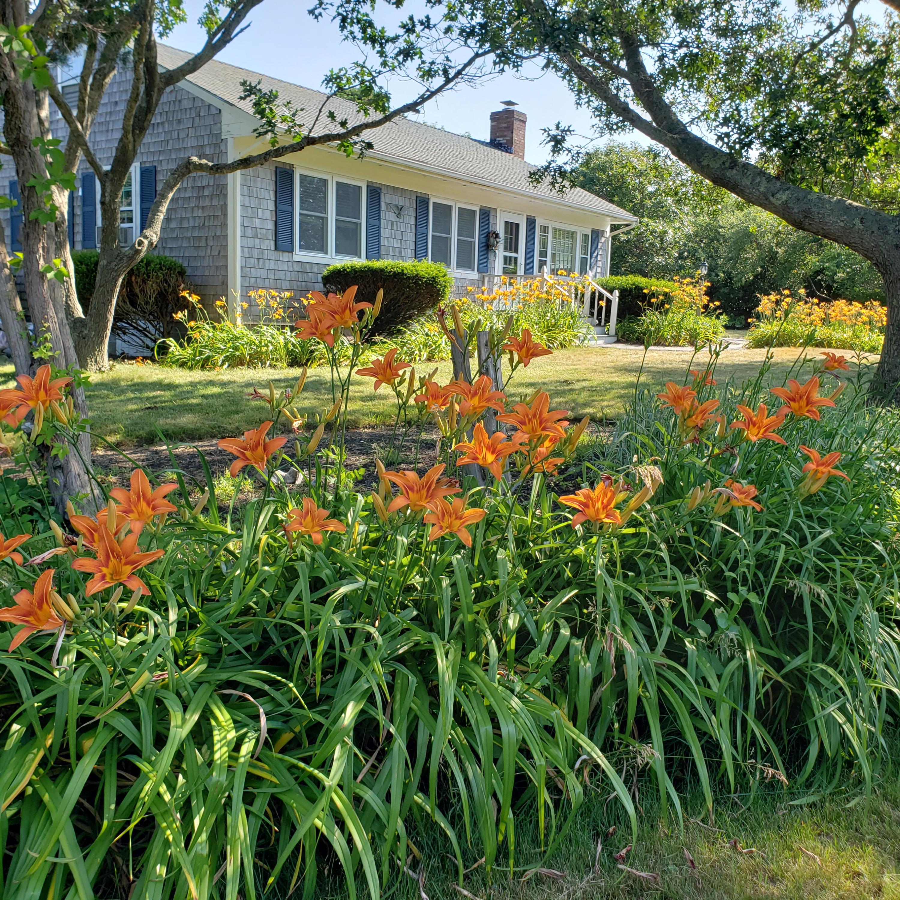 10 Captain Greaves Road East Sandwich, MA 02537 - Photo 12 of 42 20210629_161418