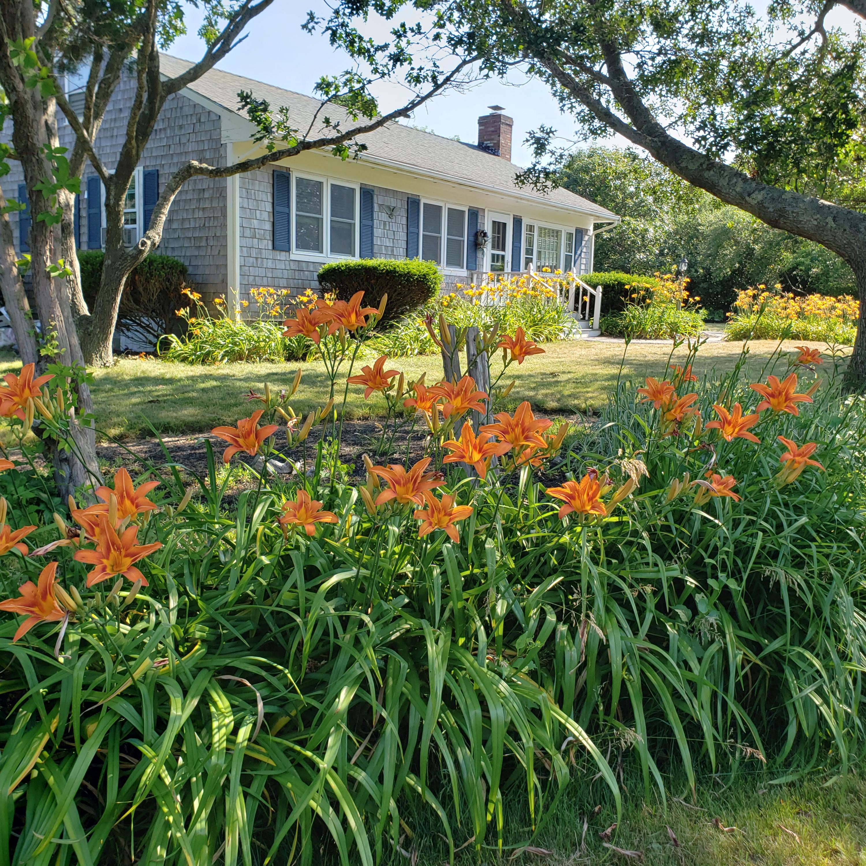 10 Captain Greaves Road East Sandwich, MA 02537 - Photo 39 of 42 20210629_161416