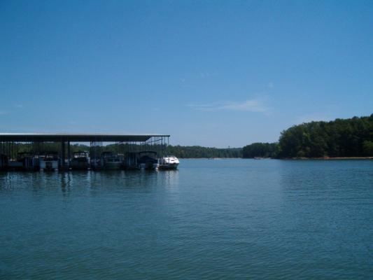 0 Harbor Light Marina Road Lavonia, GA 30553 - Photo 4 of 5 Gallery Image 4