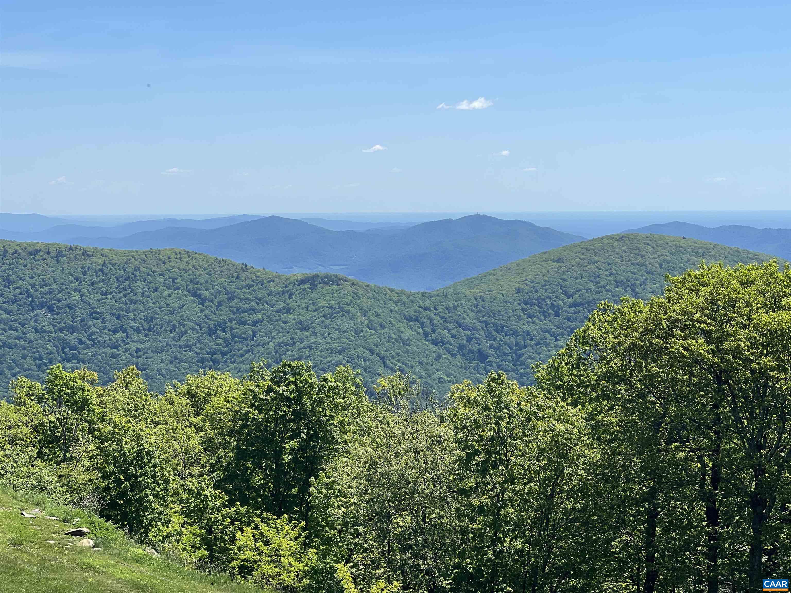 1808 High Ridge Roseland, VA 22967 - Photo 2 of 54 a view of a lake in middle of forest