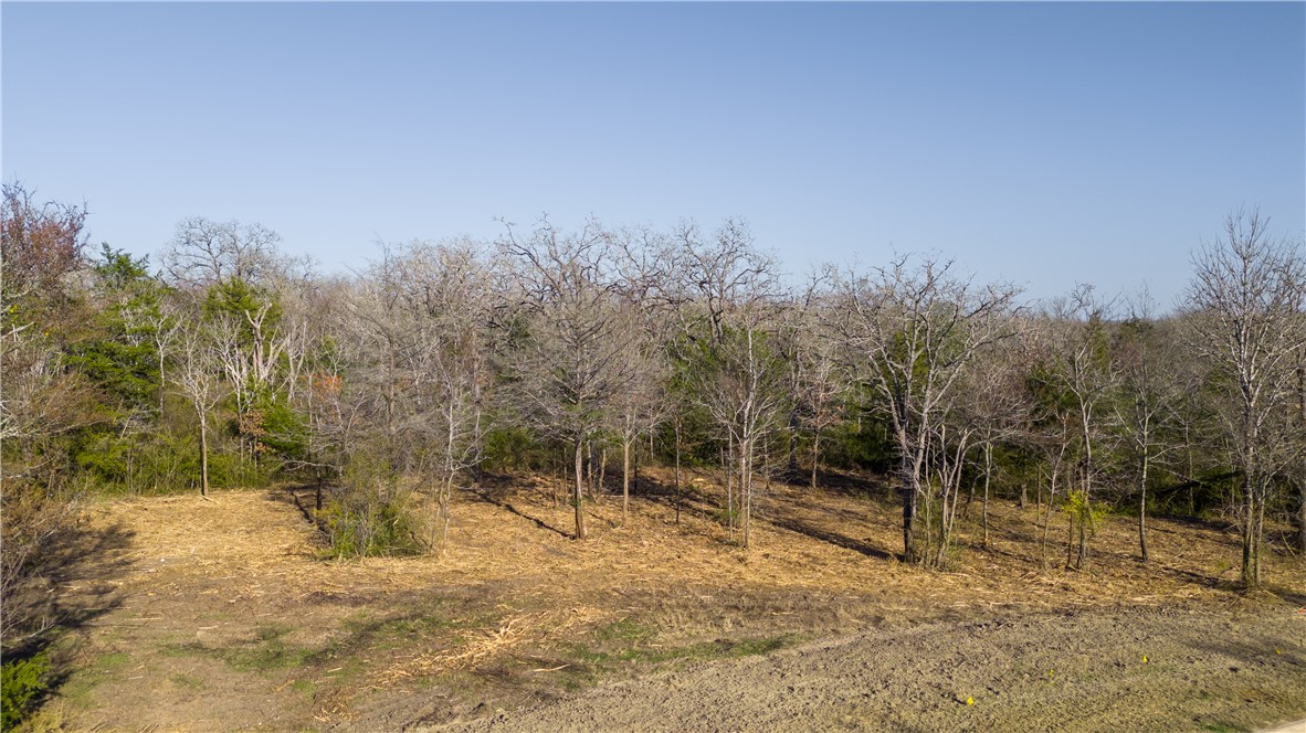 3325 Stephan's Crossing Bryan, TX 77807 - Photo 2 of 13 a backyard of a house with lots of green space