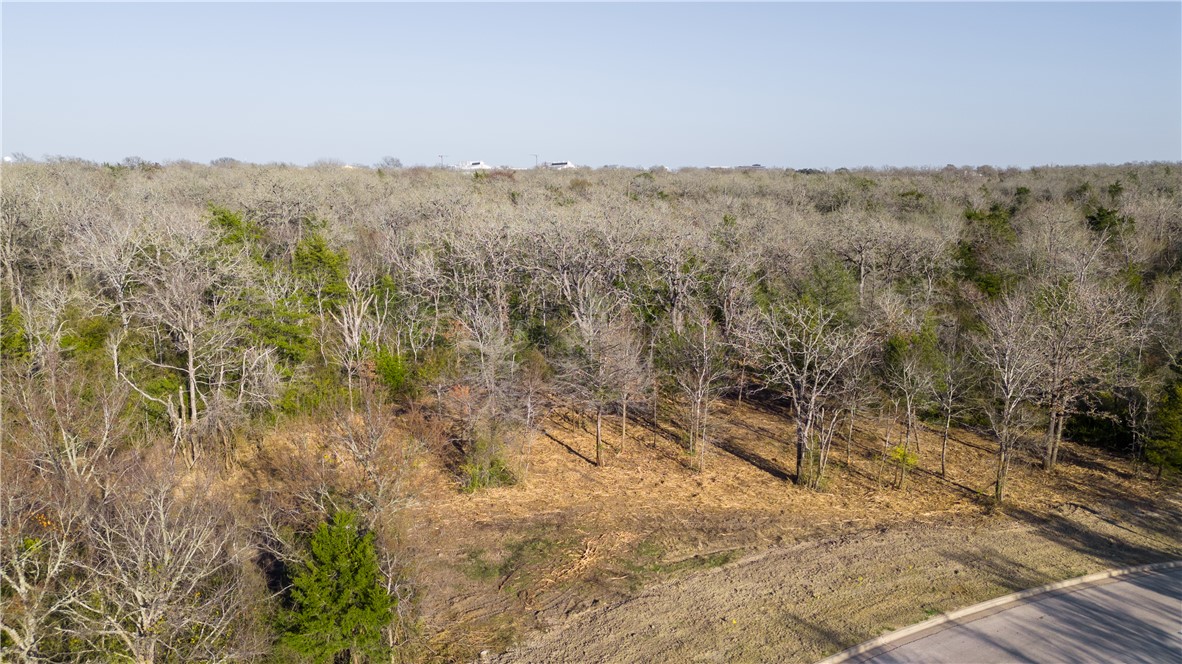 3325 Stephan's Crossing Bryan, TX 77807 - Photo 3 of 13 a view of a yard with trees in the background