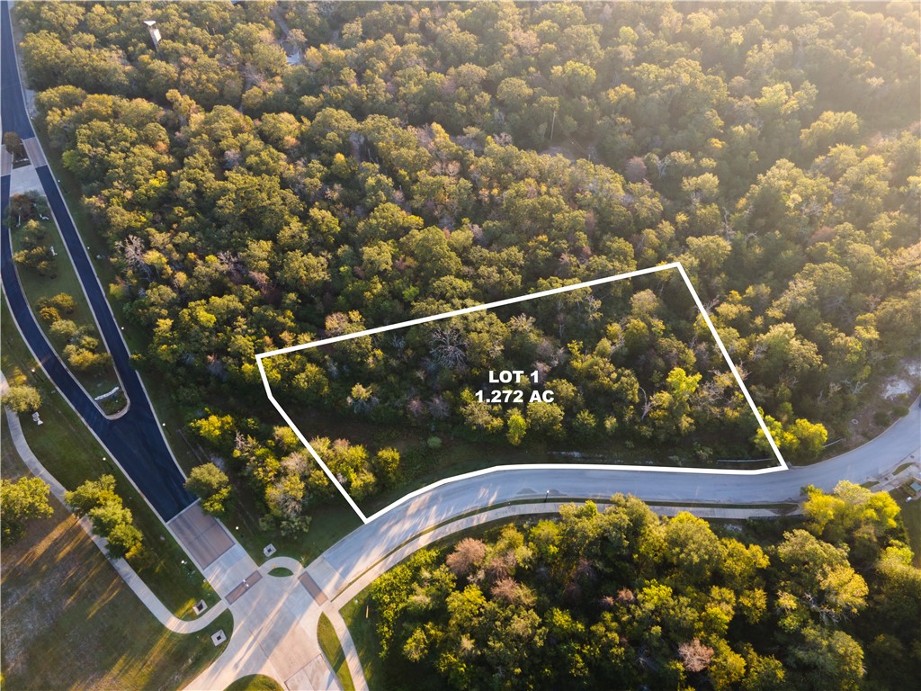 3325 Stephan's Crossing Bryan, TX 77807 - Photo 5 of 13