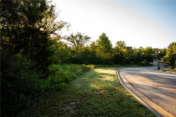 a view of a dry yard with trees