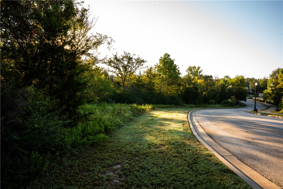 3325 Stephan's Crossing Bryan, TX 77807 - Photo 6 of 13 a view of a yard