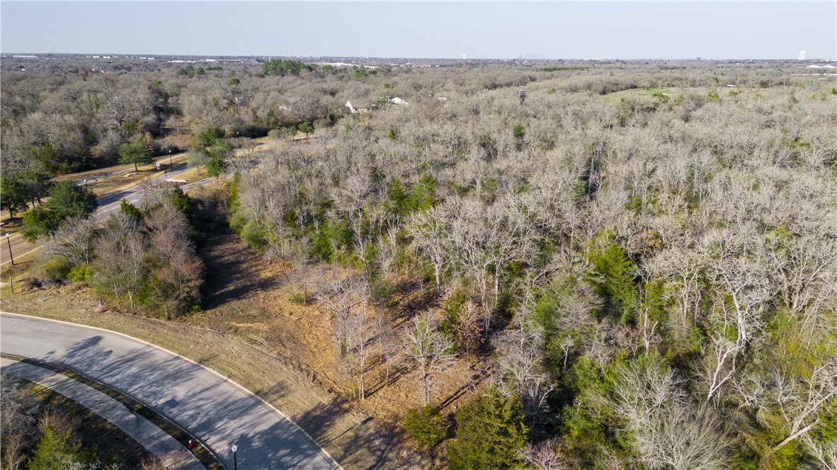 3325 Stephan's Crossing Bryan, TX 77807 - Photo 8 of 13 a view of a dry yard with trees