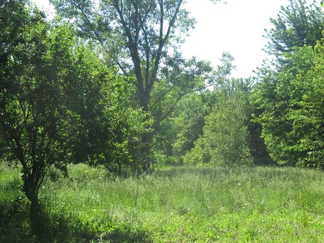 2082 Morrish Road Swartz Creek, MI 48473 - Photo 5 of 11
