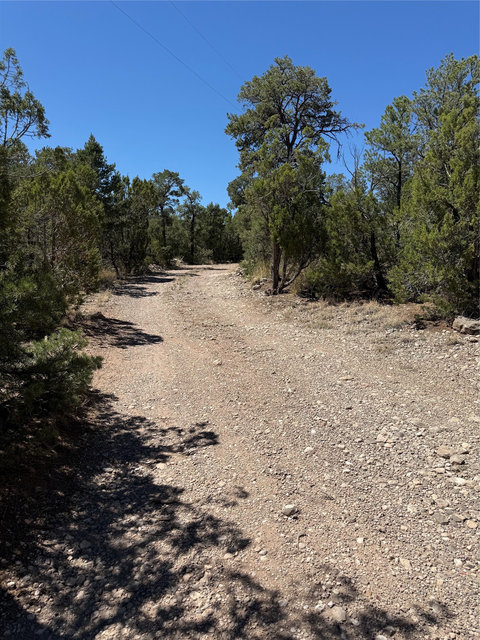 174 Hidden Valley Ranch Road Ilfeld, NM 87538 - Photo 25 of 30