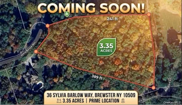 $259,000 | 36 Sylvia Barlow Way, Brewster, NY 10509