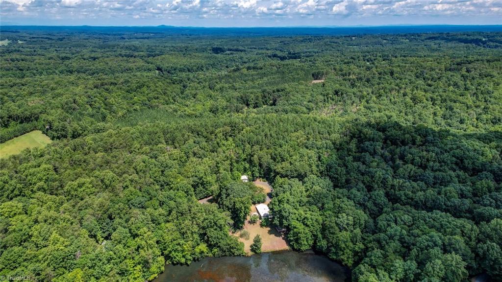 992 Butter Road Reidsville, NC 27320 - Photo 46 of 49