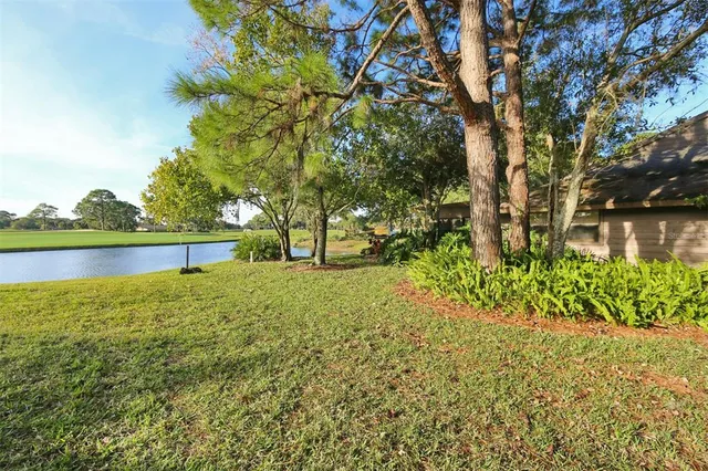 a view of a yard with a tree