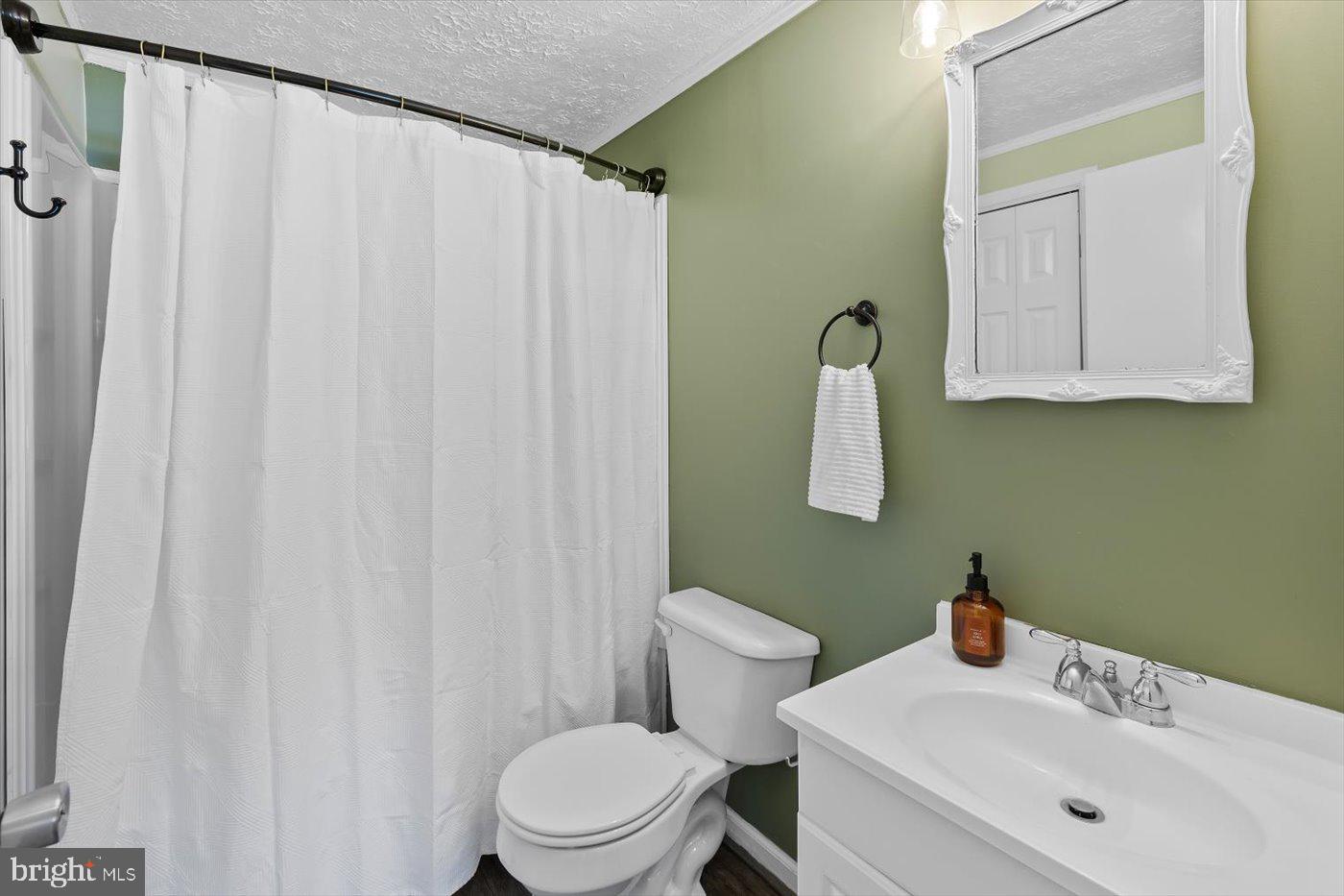 11193 Henry Griffin Road King George, VA 22485 - Photo 26 of 35 a bathroom with a sink a toilet and a mirror