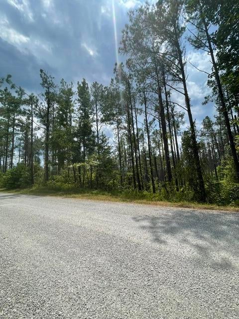 331 Co Road Corinth, MS 38834 - Photo 3 of 10 Gallery Image 3
